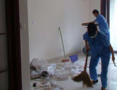 丰台区青塔擦玻璃与地毯清洗 专业保洁服务的全面解析